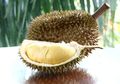 Inilah 6 Fakta Dibalik Kelezatan Durian