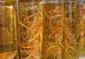 Cegah Penularan Flu, Minum Ginseng!