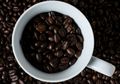 Kisah Kopi Arabica Aceh