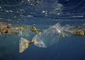 8,8 Juta Ton Sampah, \'Sumbangsih\' Negara-Negara Berkembang untuk Laut Dunia