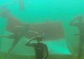 Mengibarkan Sang Merah Putih di Bawah Laut