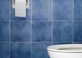 Infeksi sampai Diabetes Bisa Sebabkan Urine Berbau Menyengat