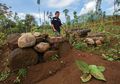Candi-Candi yang Terpinggirkan