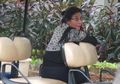 Susi Pudjiastuti, Si Pekerja Keras yang Memimpin Kementerian Kelautan dan Perikanan