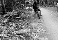 Sampah Berserakan di Derawan