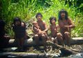 Suku Terasing Amazon Serang Desa di Peru