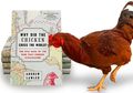 Ayam Berevolusi Mengiringi Peradaban Manusia