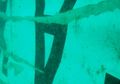 Objek-objek Ini Ditemukan di Bagian Ekor Pesawat AirAsia QZ8501