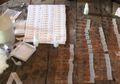 Teknik Baru Pemeriksaan Urine, Solusi Cepat Diagnosa Malaria