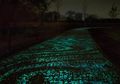 Bersepeda Sekaligus Menikmati Lukisan Van Gogh
