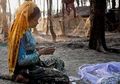 Komentar Biksu Nyanagupta Tentang Rohingya