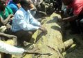 Pria Uganda Buru dan Bunuh Buaya Pemangsa Istrinya