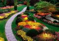 Menyambut Kemarau dengan Bermain di Taman