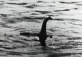 Mengenal Makhluk Unik Cryptids, Salah Satunya Berasal dari Indonesia
