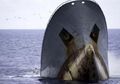 Kapal Sea Shepherd Selamatkan ABK Indonesia yang Hampir Tenggelam