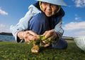 Rahasia Hidup Sehat dan Panjang Umur dari Jepang dan Yunani