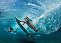 Hawaii Sejati