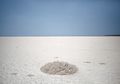Tragedi Laut Aral