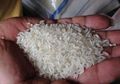 Telisik Racun "Beras Plastik" di Kehidupan Sehari-hari