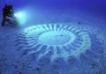 Crop Circle Dasar Laut, Siapa Pembuatnya?