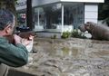 Banjir Bandang Tewaskan Puluhan Satwa di Georgia