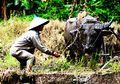 Silabus Pendidikan Lingkungan Hidup dari Seorang Petani Bengkulu