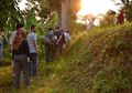 Sempatkan Berjalan di Alam Terbuka, Agar Sehat