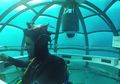 Kebun Bawah Laut Nemo\'s Garden