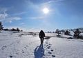 DNA yang Diduga Berasal Dari Yeti, Ternyata Milik Hewan Ini