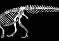 Terungkap, Fosil Dinosaurus Herbivora <i>Sefapanosaurus</i> di Afrika Selatan
