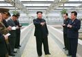 Ini Saatnya Persatuan Rusia dan Korea Utara!