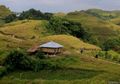 Penari Langit yang Menerangi Rumah di Sumba