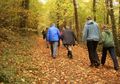 Anda Kerap Gelisah? Coba Jalan-Jalan ke Hutan