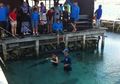 Tips Aman Berfoto dengan Ikan Hiu di Karimun Jawa