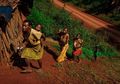 Mengapa Manusia Pygmy Bertubuh Pendek?