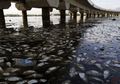 Pengecekan Virus di Perairan Rio de Janeiro