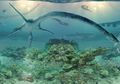 Fosil Elasmosaurus ditemukan di Pegunungan Alaska
