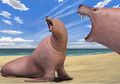 Dulu, Walrus Punya Fisik yang Sama Seperti Singa Laut
