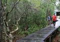 Sore-sore Menyusuri Hutan Mangrove di Karimunjawa