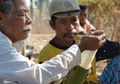 Nikmatnya <i>Kolo</i> dari Kampung Sambikoe Flores