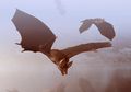 Ahli Paleontologi Berhasil Tentukan Warna Kelelawar yang Telah Punah