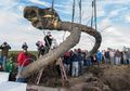 Fosil Mamut Kuno ditemukan di Michigan