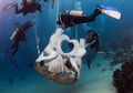 Sepasang <i>Mermaid</i> Penghuni Baru Taman Nasional Bunaken
