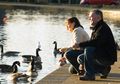 Jangan Memberikan Roti untuk Makanan Bebek di Taman