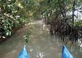 Mencegah Kerusakan Mangrove dan Wilayah Pesisir di Lampung