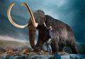 Tak Lama Lagi, Mamut Akan "Bangkit" dari Kepunahan