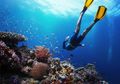 Ini Etika Menyelam agar Tidak Merusak Biota Laut