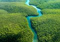 Hutan di Cina Telah Pulih Kembali