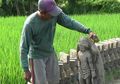 Arca yang Ditemukan di Boyolali Diduga Berasal dari Abad Kelima
