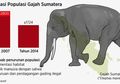 Zat Kimia Teridentifikasi pada Gajah Mati di Aceh